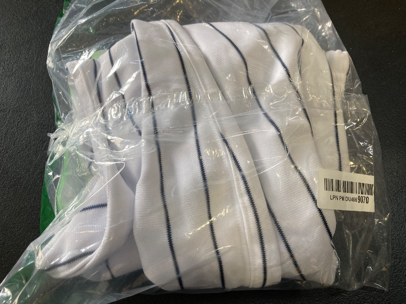 Photo 1 of Champro Unisex-Youth Triple Crown Pinstripe Polyester Baseball Pants, White, Navy, Medium