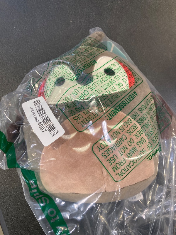 Photo 1 of Squishmallows Original 8-Inch Theodore Taupe Roadrunner - Official Jazwares Plush (Little)