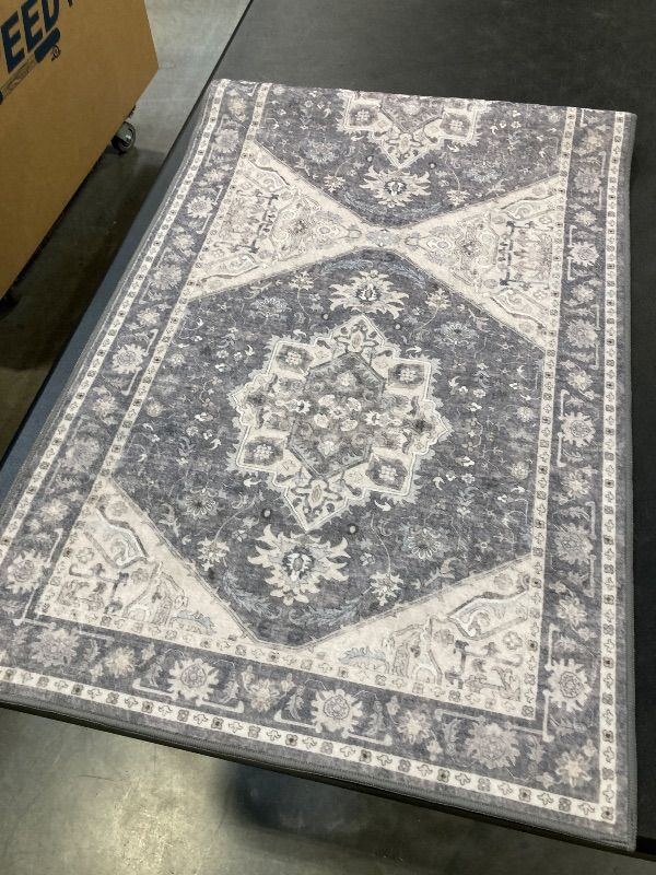 Photo 1 of Wyatt & Ash Washable Indoor Area Rug, Darya, 2 x 6 feet