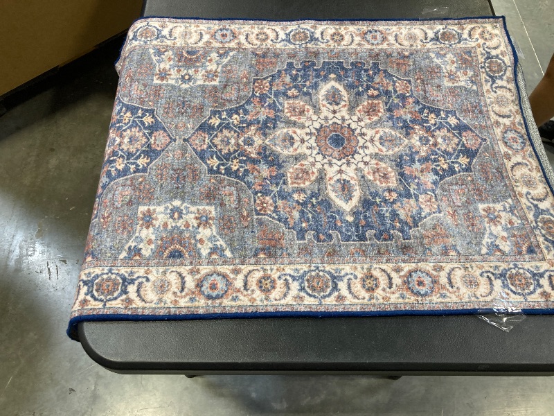 Photo 1 of Wyatt & Ash Washable Area Rug, Aliyah, 2 x 6 feet 