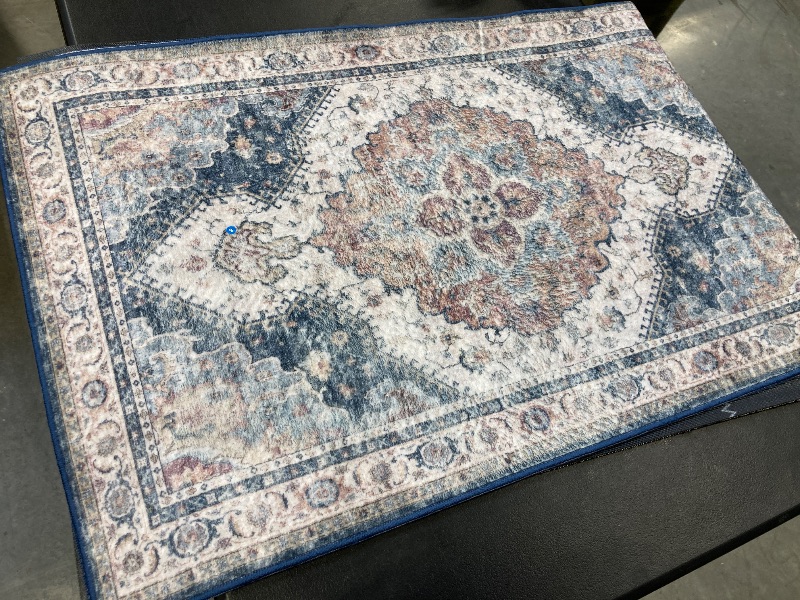 Photo 1 of Wyatt & Ash Washable Indoor Area Rug, Geraldine, 2 x 6 feet