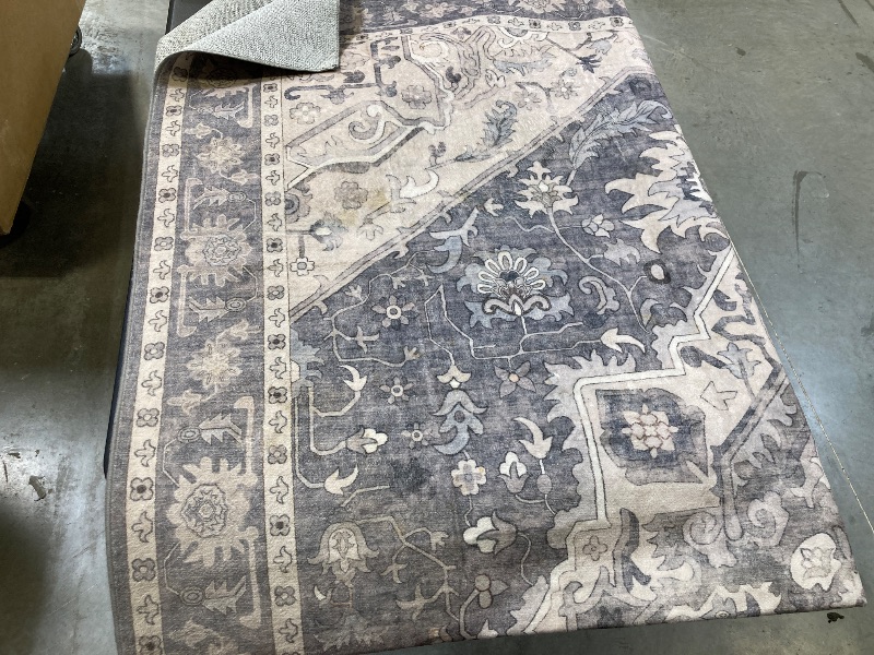 Photo 1 of Wyatt & Ash Washable Indoor Area Rug, Darya, 5 ft. 3 in x 7 ft. x 5 in