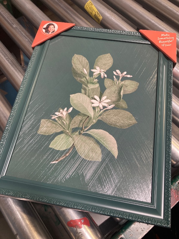 Photo 1 of Beautiful by Drew Framed Vintage Botanical Color Block set of 3