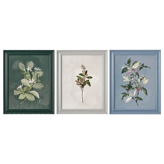 Photo 1 of Beautiful by Drew Framed Vintage Botanical Color Block set of 3