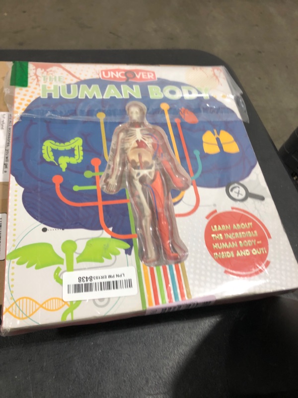 Photo 1 of Uncover the Human Body