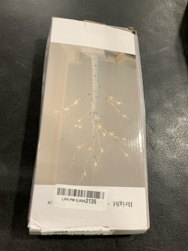 Photo 1 of EAMBRITE Money Tree Gift Holder, Lighted Birch Tree 2FT 24LED, Battery/USB Powered Timer Light Up Display Twig Gift Card Tree with 6 Clear Clips and 6 Cards for Home Christmas Graduation Photo Memo