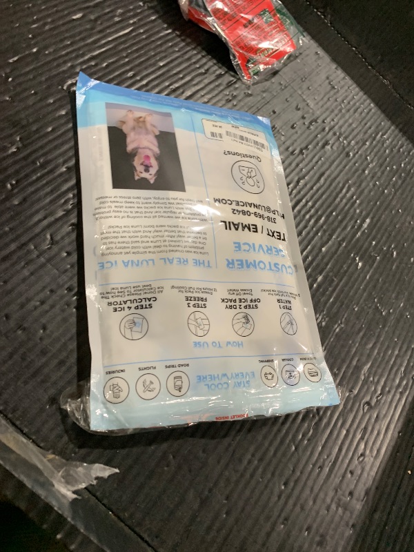 Photo 1 of Dry Ice Packs for Shipping XL - Long Lasting ice Packs - 24+ Hour Freeze Power - BPA Free - 24 Pack Bulk 12 lb – Hielo Seco - Reusable Gel Bricks for Food
