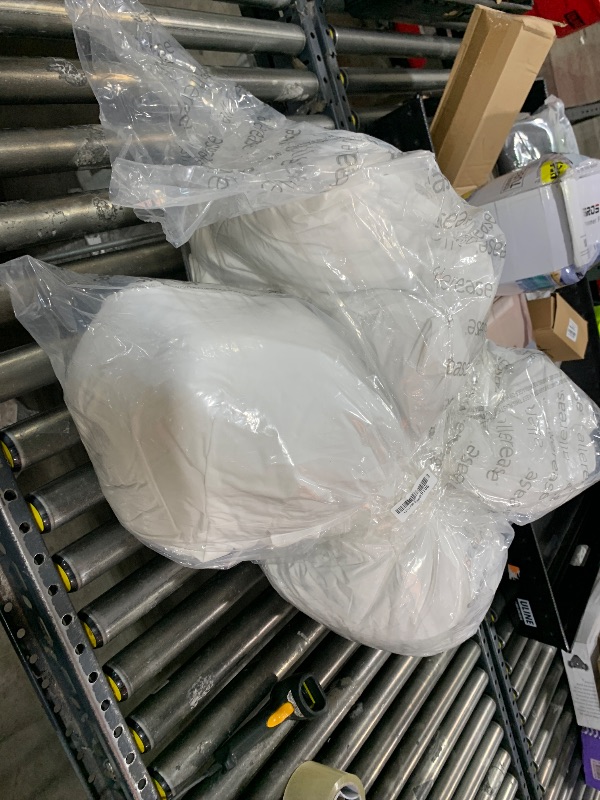 Photo 1 of AllerEase Body Pillow - 2 Pack