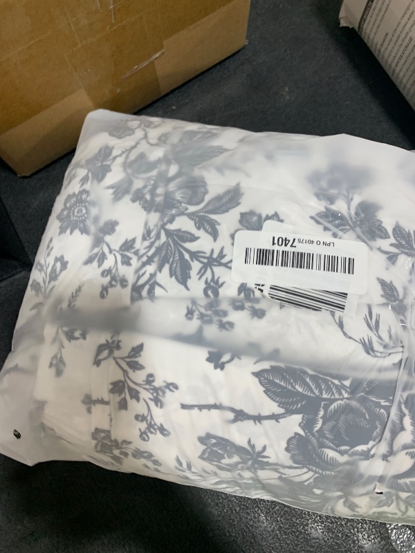 Photo 1 of Betsey Johnson - Twin Sheets, Soft & Lightweight Bedding, Fade & Wrinkle Resistant (Betseys Toile Black, Twin)