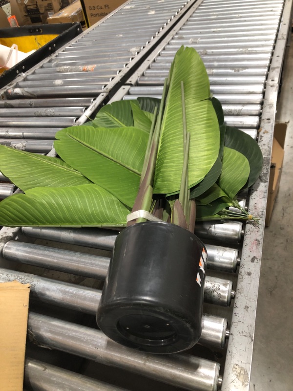 Photo 1 of Fake plant