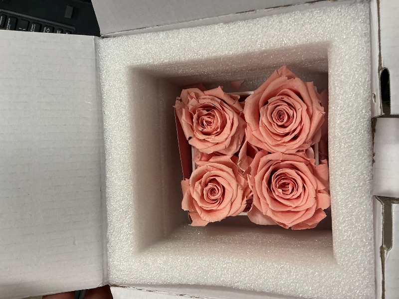 Photo 1 of AROMEO Pink Roses, A Gift That Lasts | Fresh Flowers for Delivery, Mothers Day Gifts, Mom, Girlfriend, Wife, Mother, Birthday, Women Gift. Preserved Fresh Cut Zero Maintenance Roses with Box