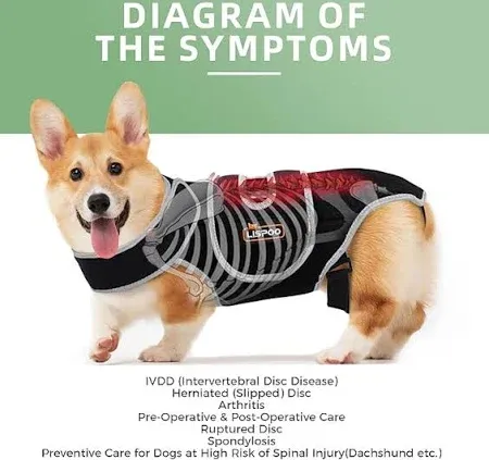 Photo 1 of Dog Back Brace for IVDD and Slipped Discs - Ideal for Dachshunds, Corgis, Providing Spinal Stability and Pain Relief SIZE LARGE/ MEDIUM