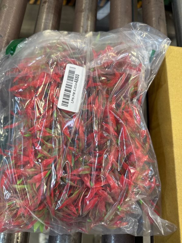 Photo 1 of Tfwadmx Large Aquarium Plants Artificial Water Seaweed 2 Pcs About 12.5 Inch for Fish Tank Decor Plastic Plant for Betta Shrimp Red Gladiolus