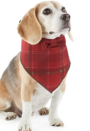 Photo 1 of Paw & Tail Dog Red Plaid Bandana Bow Set
