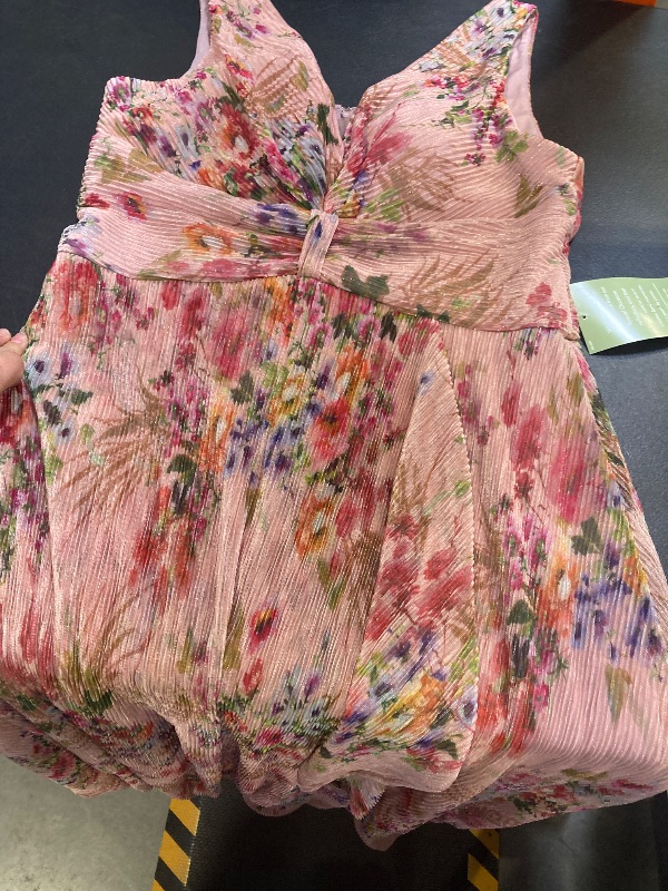 Photo 1 of Womens R&M Richards Floral Sleeveless V-Neck a-Line Gown 16