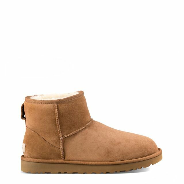 Photo 1 of UGG Women's Classic Mini II in Chestnut, 6
