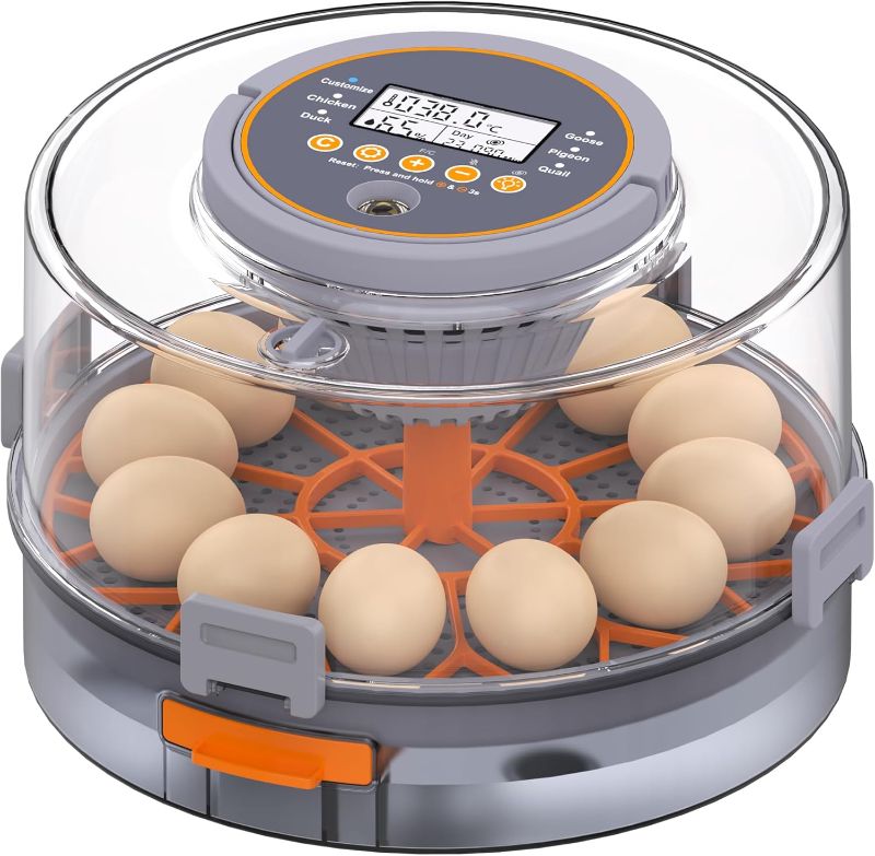 Photo 1 of Egg Incubator with Automatic Egg Turning and Humidity Control, Intelligent Egg Incubator with Automatic Temp. Adjustment, 12 Egg Incubator