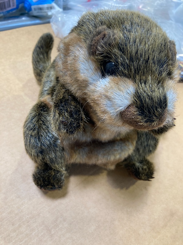 Photo 1 of Folkmanis Groundhog Hand Puppet,Brown; Tan; White