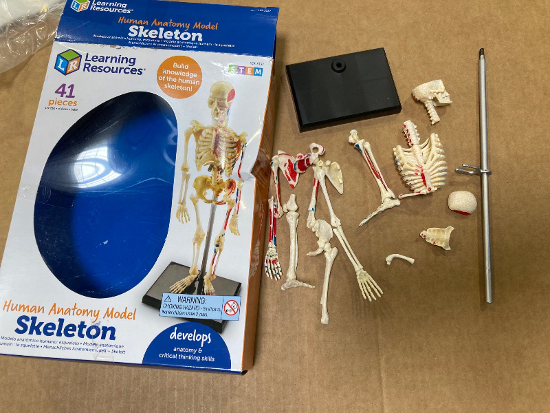 Photo 1 of Learning Resources Skeleton Model, Miniature Model, Easy to Manipulate, 41-Piece Model, Ages 8+