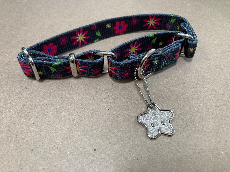 Photo 1 of Dog Collar XS