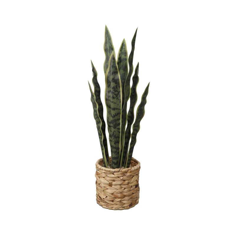 Photo 1 of Flora Bunda 24.3" Artificial Snake Plant in Rattan Basket Made for Table Tops