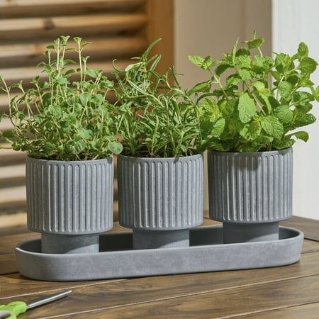 Photo 1 of Better Homes & Gardens 4-Piece Ceramic Herb Planter Gray

