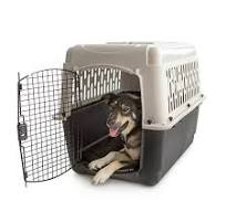 Photo 1 of Vibrant Life Pet Kennel Medium 36" Dog Crate, Plastic Travel Pet Carrier for Pets 50-70 lb, Grey