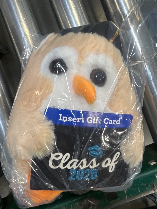 Photo 1 of Graduation Small Brown Class of 2025 Owl Plush with Gift Card Holder, 9"
