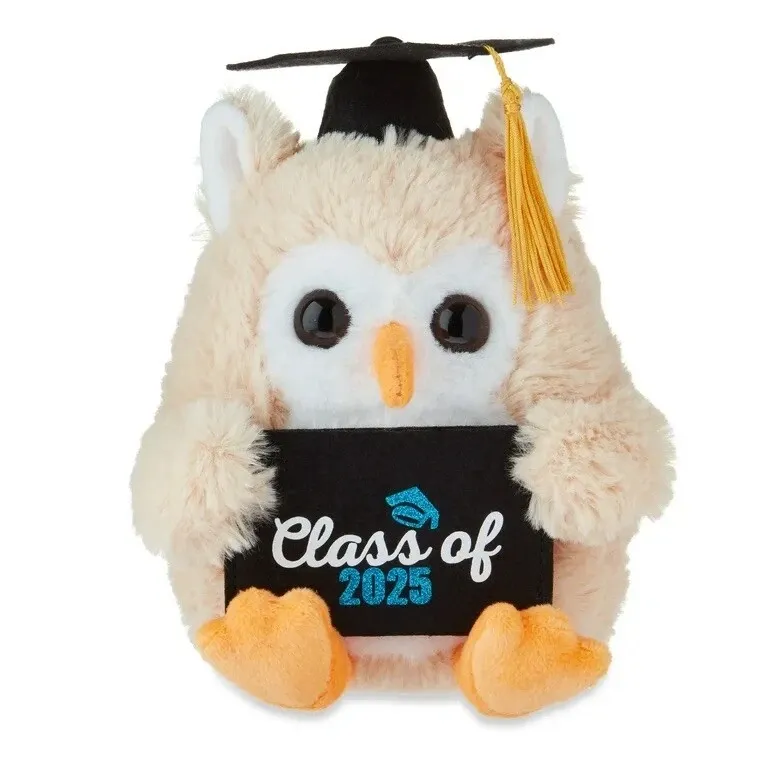 Photo 1 of Graduation Small Brown Class of 2025 Owl Plush with Gift Card Holder, 9"