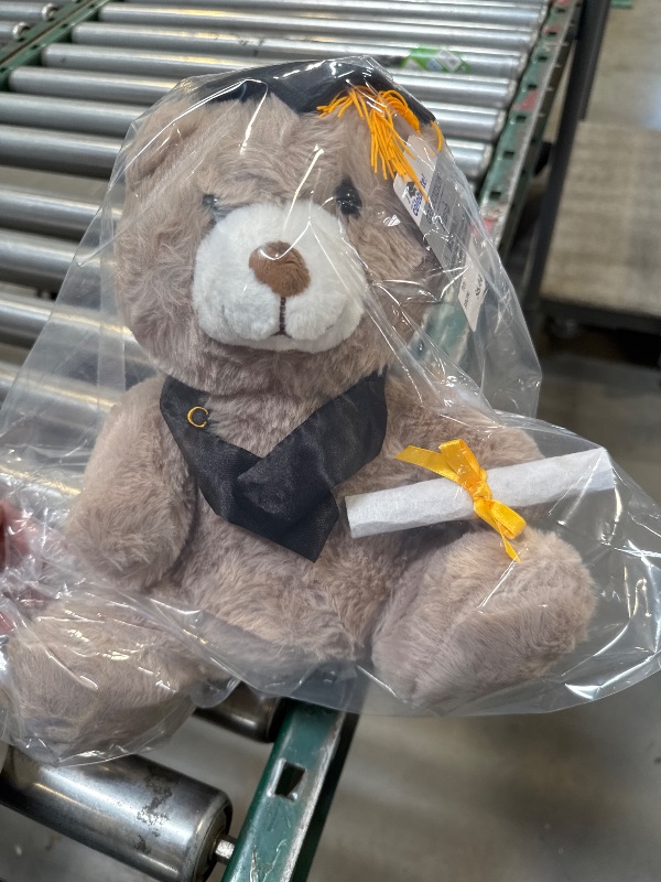 Photo 1 of Graduation Teddy Bear 2025