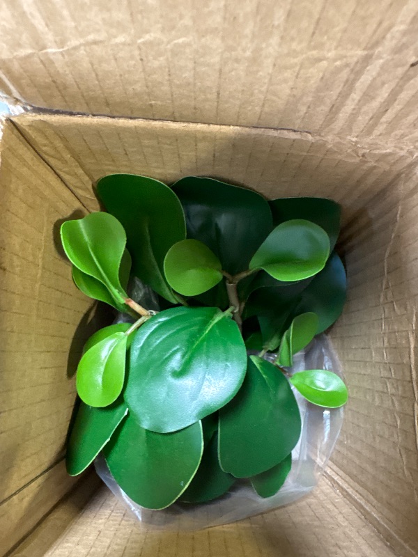 Photo 1 of AlphaAcc Artificial Plants Potted Real Looking Small Faux Plant with Rustic Black Cement Planter for Kitchen Office Desk Bookshelf Decor (Ficus Plant)