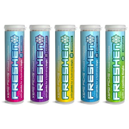Photo 1 of Xero Picks Freshen - Variety - Infused Flavored Toothpicks for Long Lasting Fresh Breath & Dry Mouth Prevention - 100 Picks - 5 Pack
