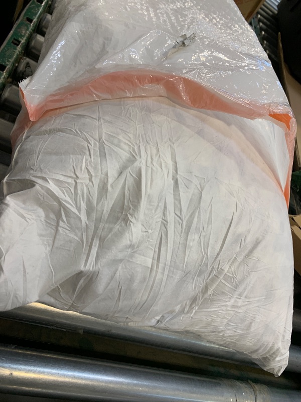 Photo 1 of 1pc   TOPGREEN Feather Down Throw Pillow Inserts 20 x 20, 