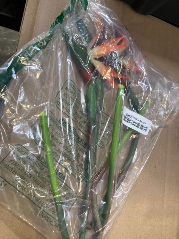 Photo 1 of Fqueelvys 3pcs ---Bird of Paradise Artificial Plant Combo Palm Leaves,Faux Bird of Paradise Plant with Artificial Palm Leaves for Wedding Garden Office Home Indoor and Outdoor Decor(Orange)