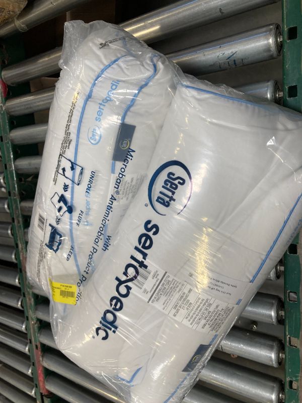 Photo 1 of 2pcs--SertaPedic Super Firm Bed Pillow, Standard/Queen, White