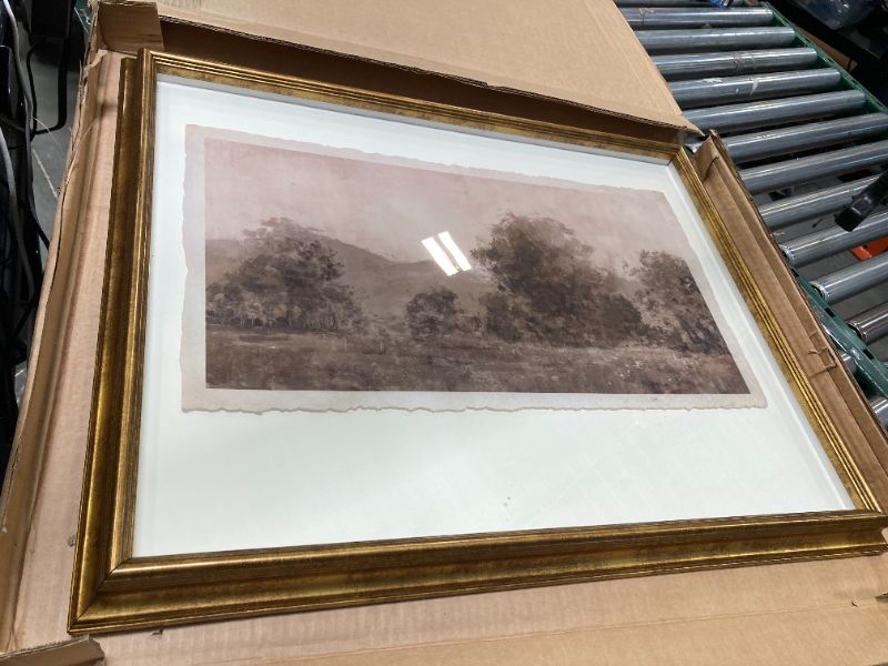 Photo 1 of 20x30in Decorative frame