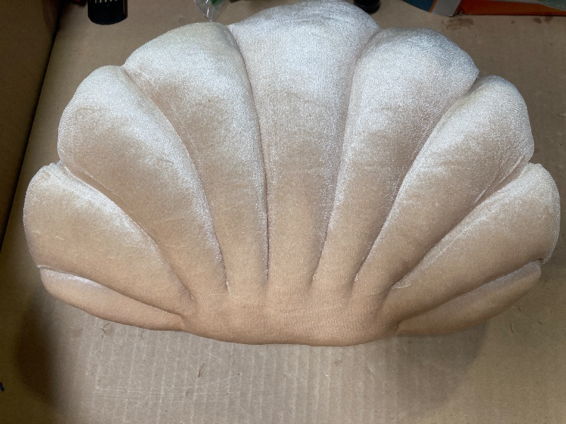 Photo 1 of Small Pillow