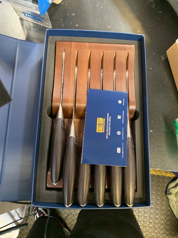 Photo 1 of HOSHANHO Steak Knives Set of 6 with Block, 4.5 Inch Serrated Steak Knife Set, Japanese High Carbon Steel Kitchen Steak Knives with Ergonomic Handle