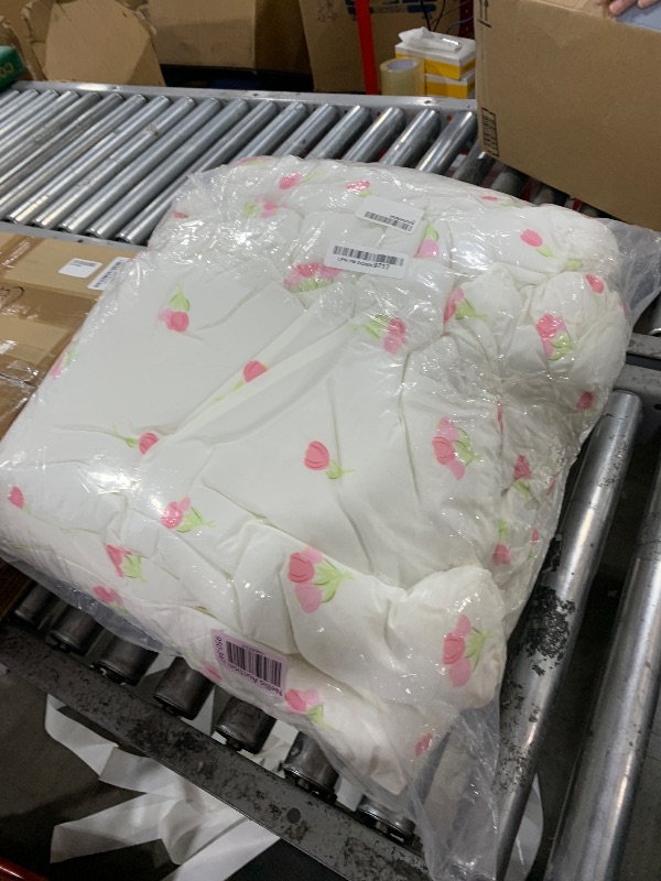 Photo 1 of BEDDING