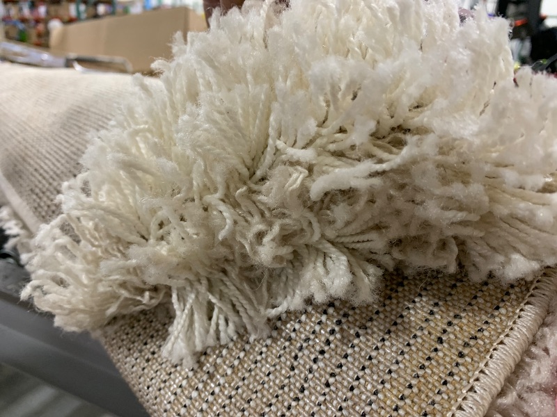 Photo 1 of CREAM CARPET RUG