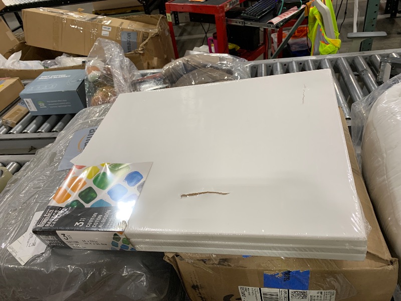 Photo 1 of Liquitex BASICS Canvas, 3 pack, 16" x 20"