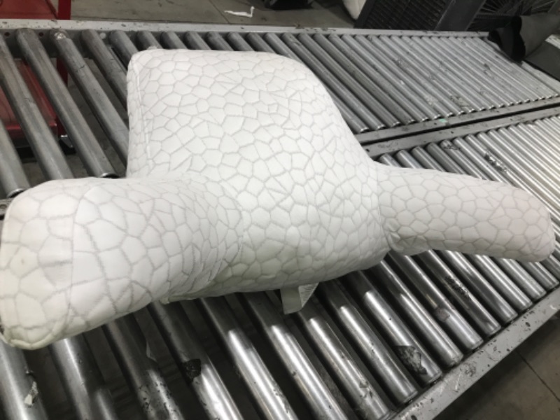 Photo 1 of READING PILLOW 