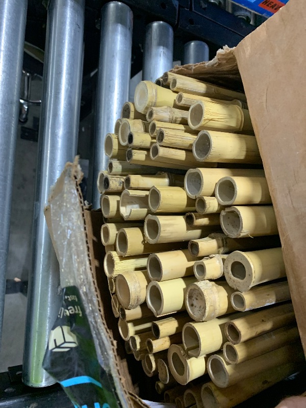 Photo 1 of Bamboo fence