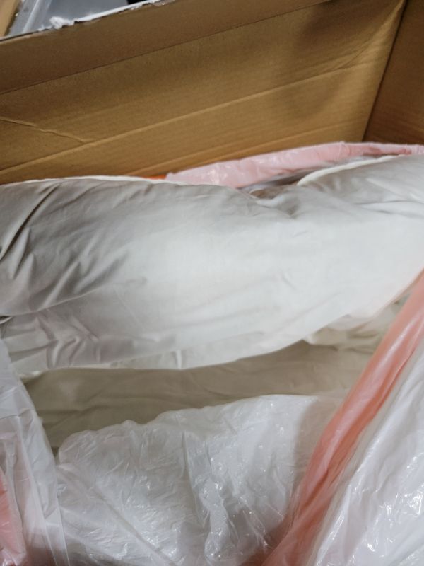 Photo 1 of Baauye Luxury Canadian White Goose Down Pillow Standard Size- 750+ Fill Power, Soft Down Pillow for Sleeping, Fluffy Pillow for Neck Pain ST7 (1 Pack, 20"x26")
