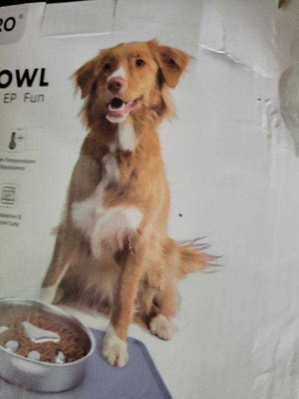 Photo 1 of AIPERRO Slow Feeder Dog Bowls 304 Stainless Steel, 2 Cups Metal Food Bowls, Water Bowl for Small & Medium Sized Dogs, Fun Bloat Stop Pet Fast Eaters
