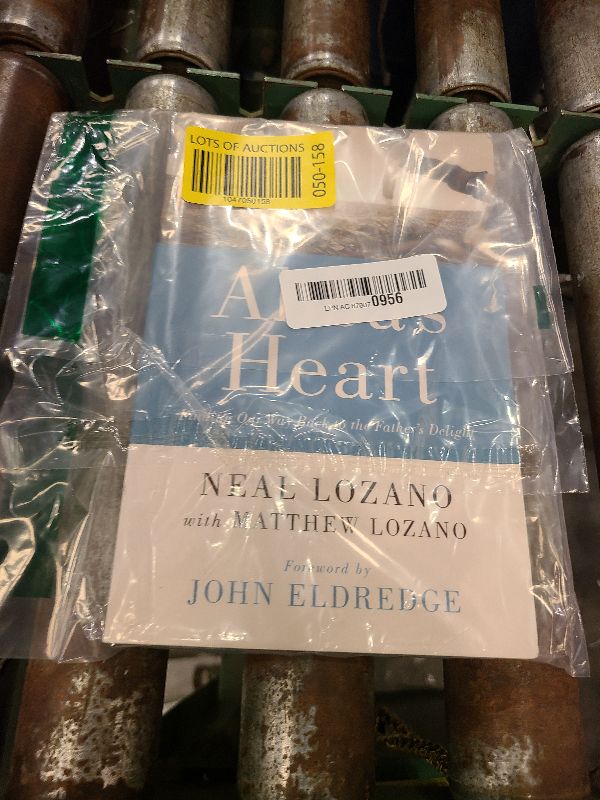 Photo 1 of Abba's Heart: Finding Our Way Back to the Father's Delight