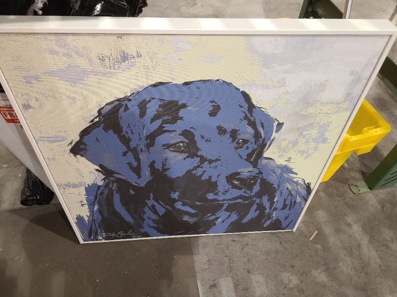 Photo 1 of 2ft x 2 ft Dog Art Canvas