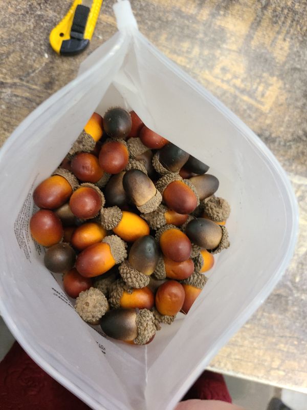 Photo 1 of 200Pcs Mini Artificial Acorns,Fake Acorn Bulk with Natural Cap Lifelike for Fall Thanksgiving Halloween Decoration,Wedding Decor,Vase Filler,DIY Crafts