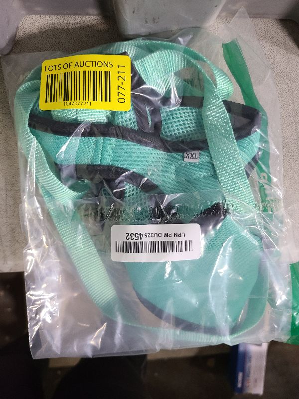 Photo 1 of FAYOGOO Cat Harness & Leash Set, Escape Proof, XXL(Chest 19-21''), Green