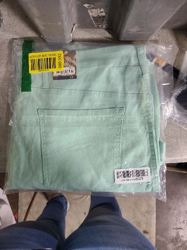 Photo 1 of & Company Womens Hyper Ultra Stretch Comfy Skinny Leg Work Casual Pants P44876SKX Mint 1X